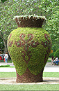 The vase